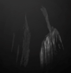 Avatar de usu&aacute;rio