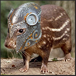 Avatar de usu&aacute;rio