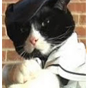 Avatar de usu&aacute;rio